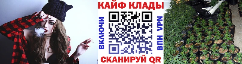 Как найти наркотики Протвино Конопля Alpha-PVP Гашиш Меф