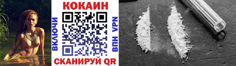 COCAIN Эквадор  где купить наркоту  Протвино 