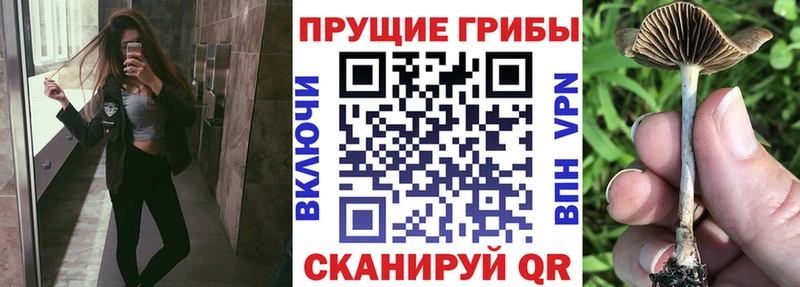 mega ССЫЛКА  Протвино  Псилоцибиновые грибы прущие грибы 